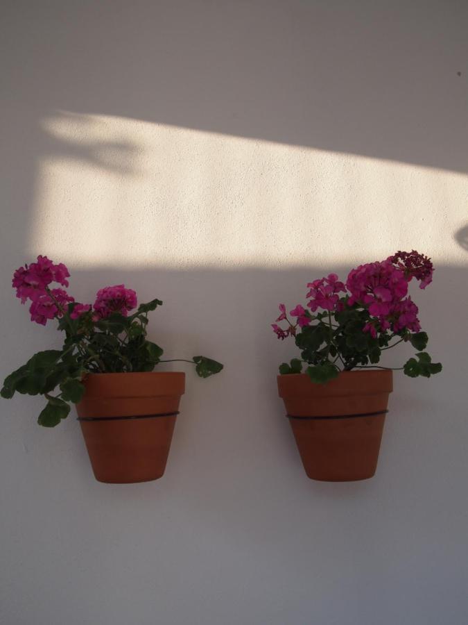 Suites 9 Malaga, Three Unique Suites With Private Plunge Pool Zewnętrze zdjęcie